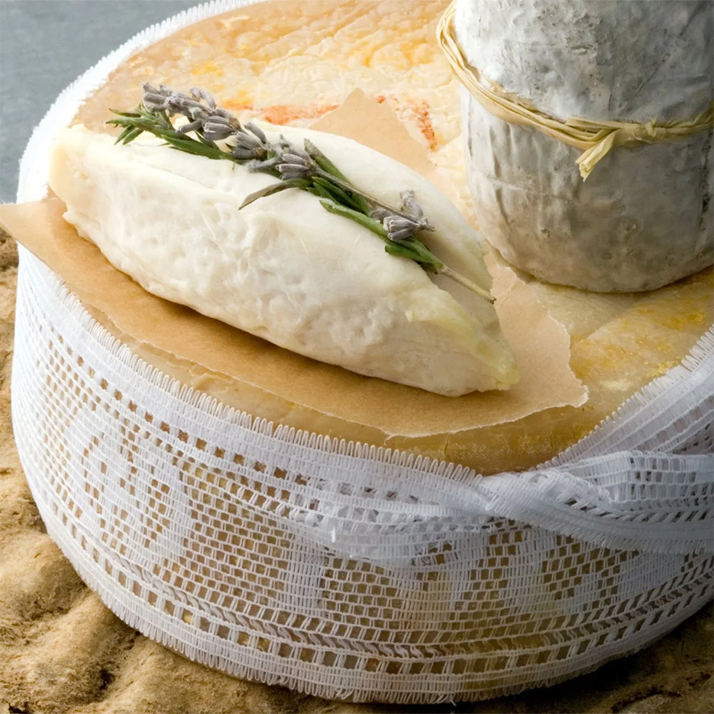 Cheese Club