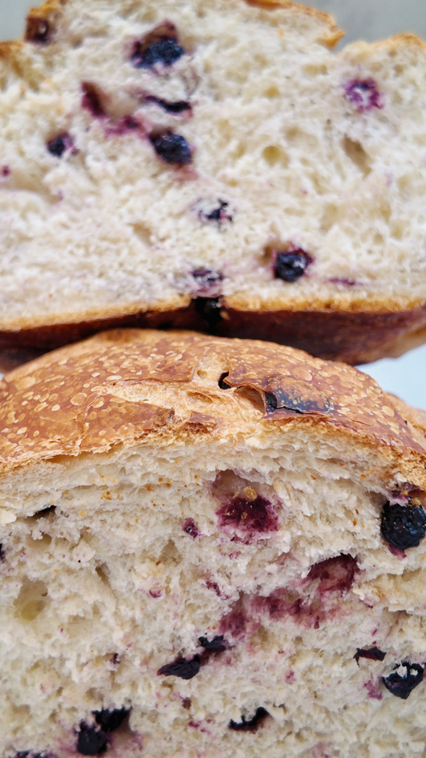Blueberry & Goat Cheese Sourdough