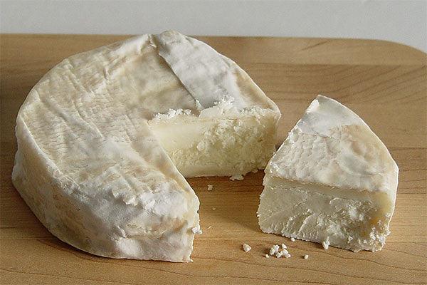 Goat Camembert – Artisanal Premium Cheese