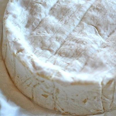 Camembert Lactic Artisanal cow's milk cheese from France