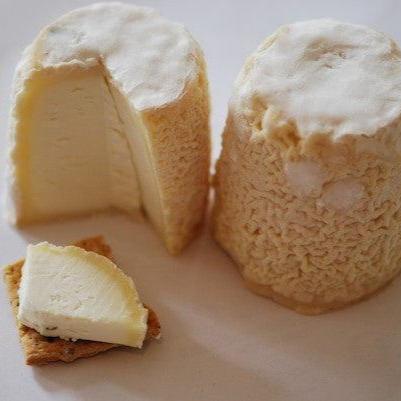 Chabichou du Poitou - Artisanal goat or chèvre cheese from France
