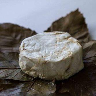 O'Banon - Artisanal Premium Cheese
